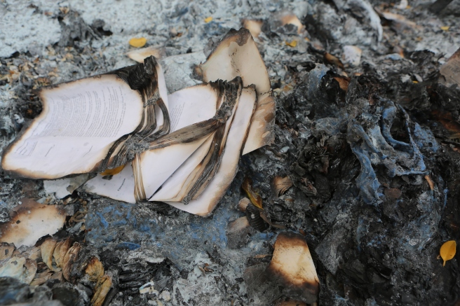 book-book-pages-burned-pages